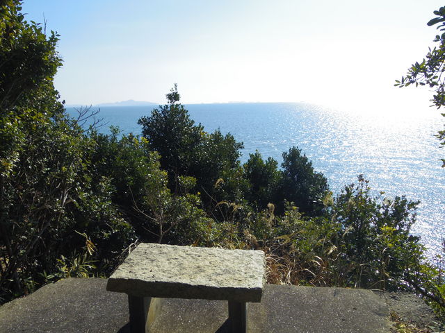 jyarapon̑命{C݂̓eʐ^1