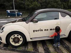 ̂񂿂񂳂̑啧v@{Xv̐XEJtFւ̓eʐ^1