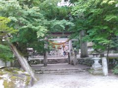 白川八幡神社の口コミ一覧 じゃらんnet