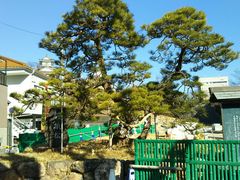 񂳂̉ƍNZ|ւ̓eʐ^1