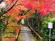 poporon����̌��x���̓��e�ʐ^1