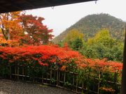 poporon����̌��x���̓��e�ʐ^4