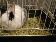 L^J̍ŏL𗬃Z^[߂肠̓eʐ^2