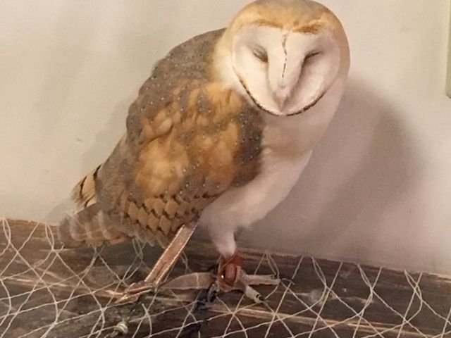 InƂȂłB_ӂ낤̂XJtFÉhX