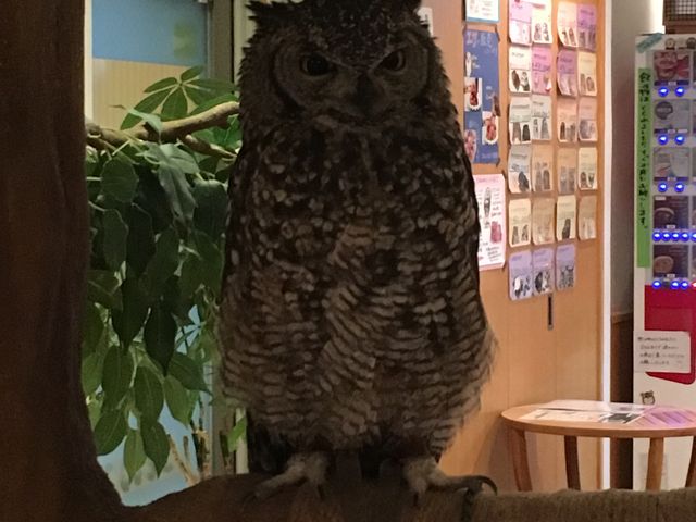 炪PWOx肵ĖʔłB_ӂ낤̂XJtFÉhX