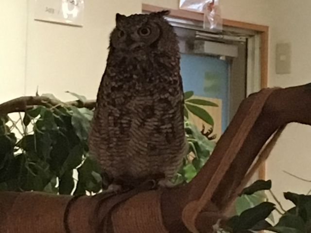 ԑ傫ȎqHŁA킢łB_ӂ낤̂XJtFÉhX