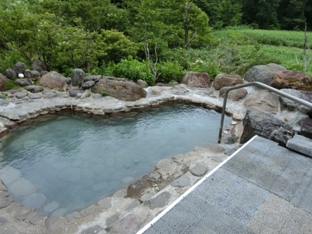 �I�V���C_�h�q����