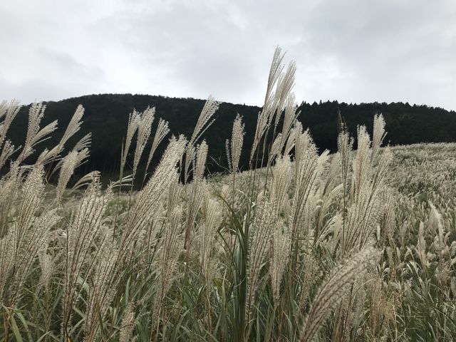 ���ɗh����_��Ό�����