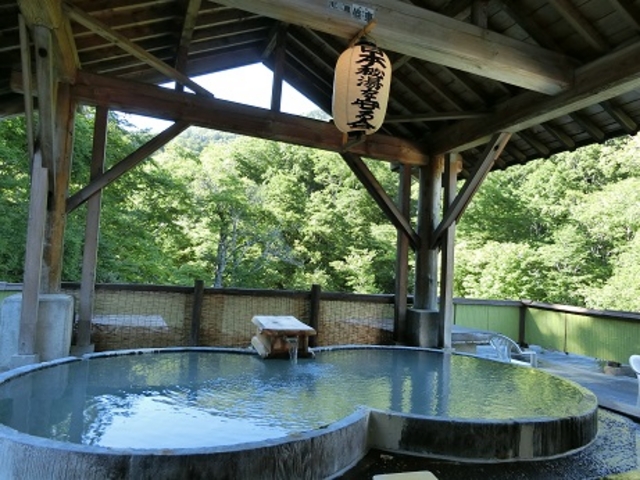 �W�]�I�V���C_���쌳�����ˉ�����