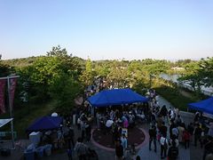 korikori̎OAEgbgp[N ꗳւ̓eʐ^2