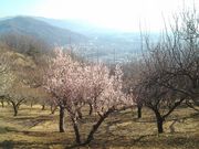 ̂ققC̕oR~Sԉ̓eʐ^1