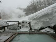 ɂǂ񂳂̐Vn ͉ق̓eʐ^5