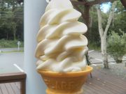 usåJcACXN[H[̓eʐ^1