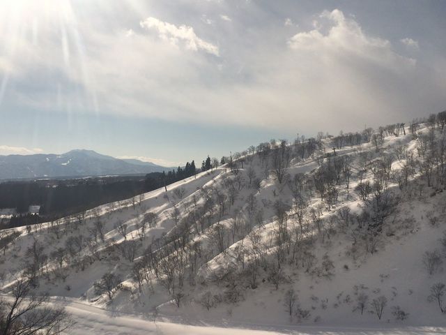 �s�傳�B_���b�e�A���C���]�[�g