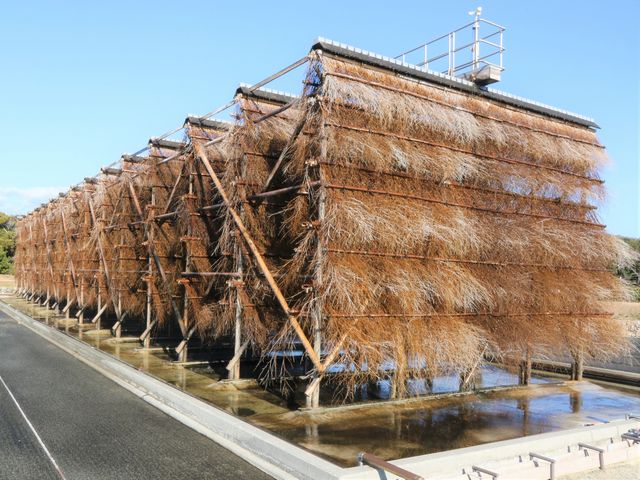 Ƃ񂳂̐ԕsCmȊwفE̍̓eʐ^4