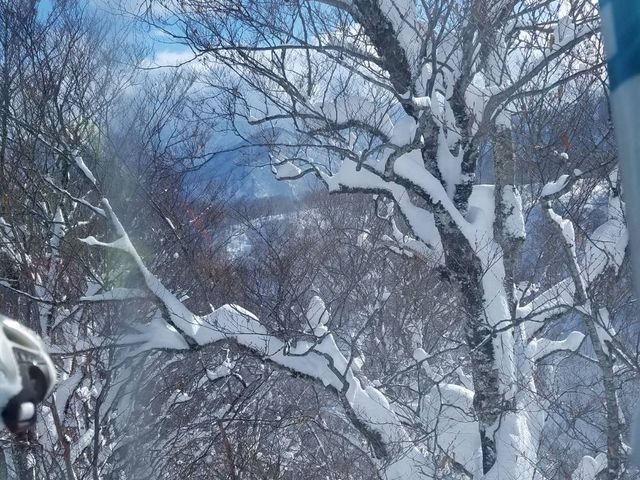 �S���h������_������X�L�[��