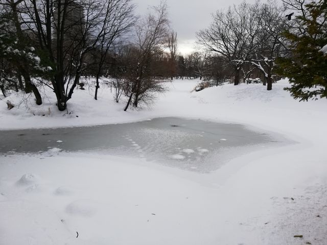 �����Ă��܂�_��������