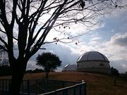 񂿂񂳂̏tsz̋uj̓eʐ^1