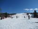 鶴亀松竹梅扇さんのひるがの高原スキー場への投稿写真4