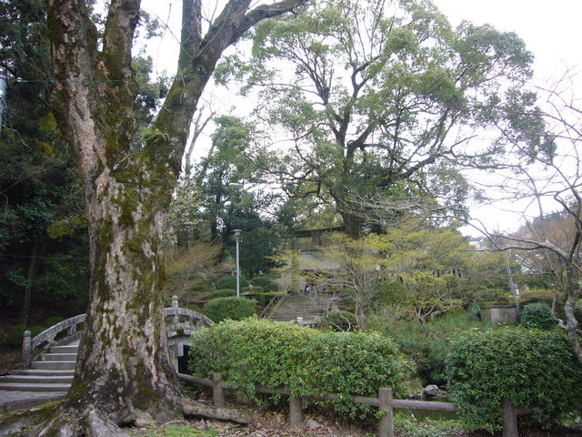 ���R�Ɉ͂܂�Ă��܂�_�匴�����{