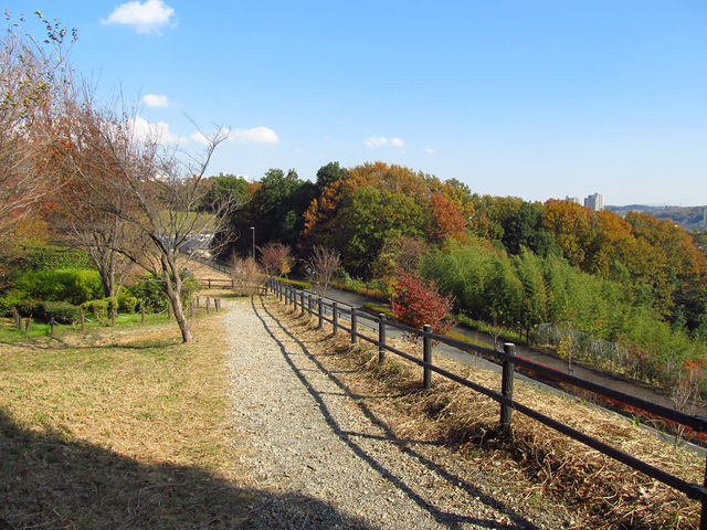 多摩 よこやま の 道 自転車