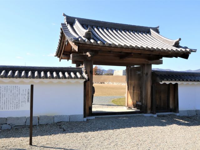 Ƃ񂳂̑ΗǗYՂ̓eʐ^2