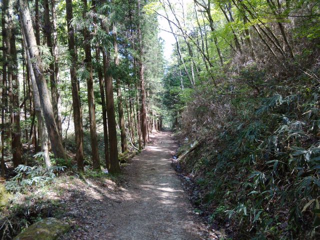 �n�ē��߂��̗ѓ�_���R��