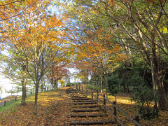 [oXeBA04̑悱܂̓ւ̓eʐ^1