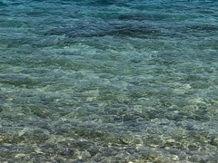 [ẪRhCr[`ւ̓eʐ^1