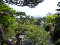 񂿂񂳂̖ї٥ї뉀ւ̓eʐ^1