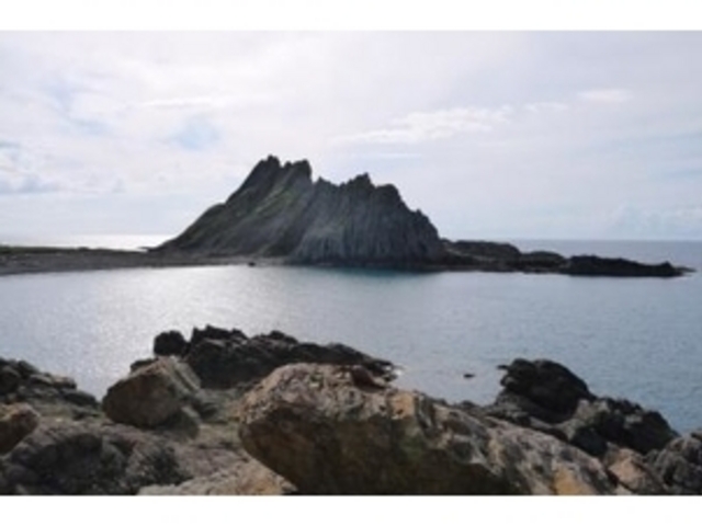 ��̔��͂�����܂��I_���̉͌�