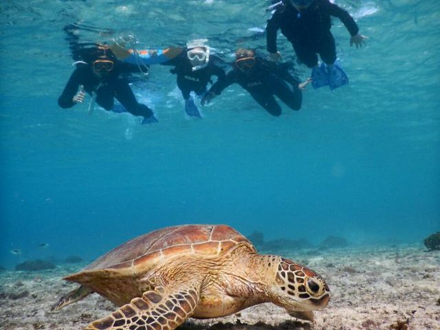 �E�~�K���ɉ����[_SEA ENJOY