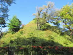 [oXeBA04̍rxms̐Xւ̓eʐ^1