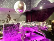 joannaDining VT Violet Tiger bX̓eʐ^1