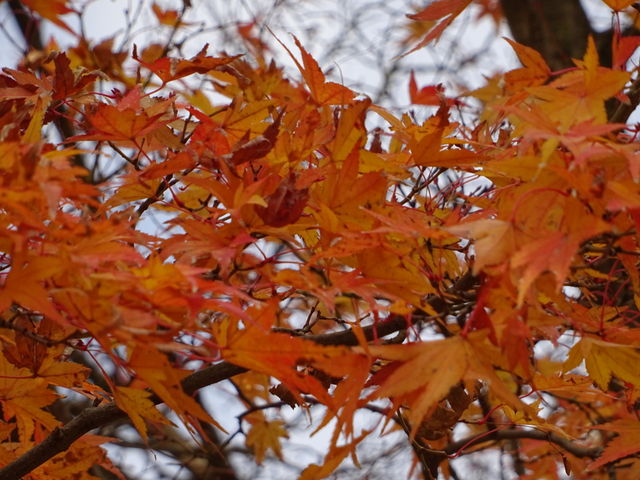 �g�t_�哿��