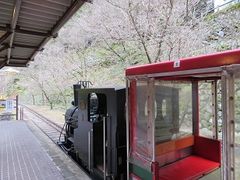 日本で最初の鉱山鉄道を復元したものだそうです マイントピア別子 鉱山鉄道 観光坑道 の口コミ じゃらんnet