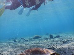 ݂邫񂳂̂ՂՂ@{Óւ̓eʐ^1