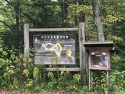 SHIN̔эjނꐅmԉ̓eʐ^1