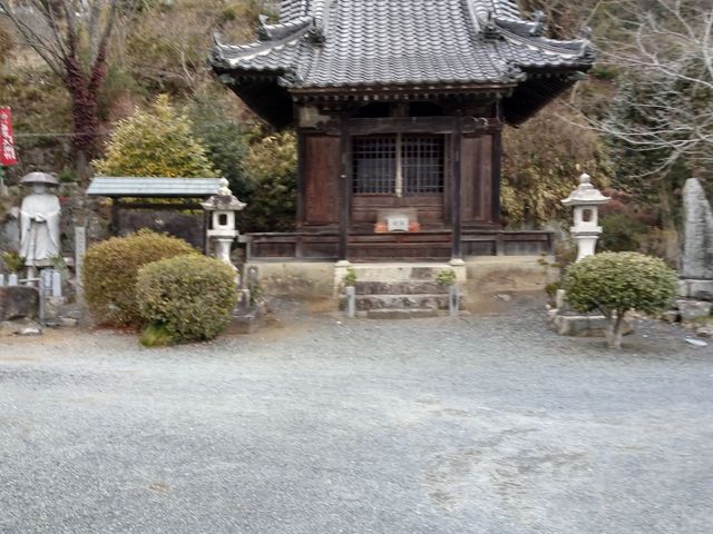 �����ł�_���_��