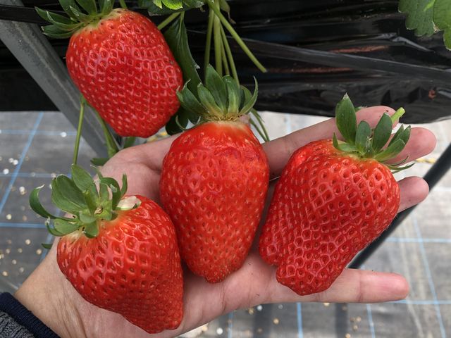 �^���ԁI_���}��������