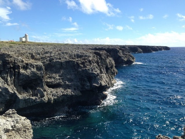 ^ߍ݂ǔgƊԂ̊Cł_ߍ