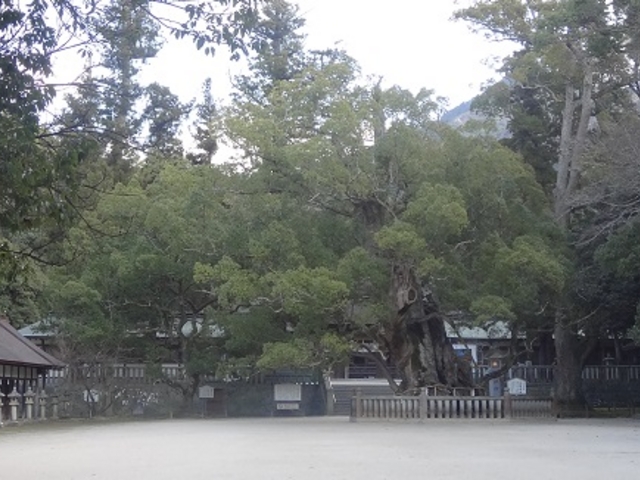 R__Ђ̃NX@_O_R__Ђ̃NX