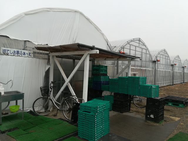 �r�j�[���n�E�X�������������Ă��܂��B_�Ă������ӂ��[�ށ@�K���ؑ]���_��