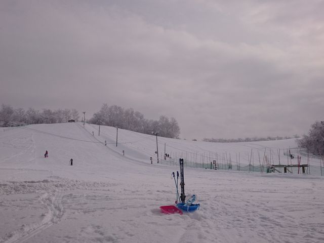 �߂��ɂ���X�L�[��_���Ƃ҂���̗�����