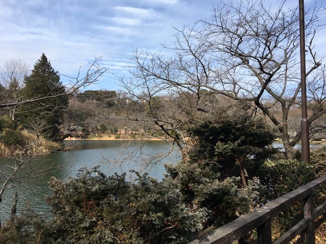 �O�c�r�����̍�_�O�c�r�����̍�