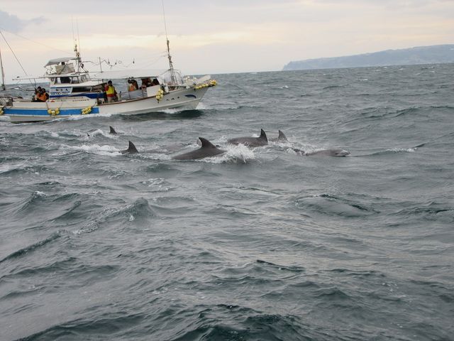 �C���J�������I_�C���J�E�H�b�`���O�i���̉w �V���s�C���J�Z���^�[�j