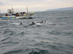 ��܂��񂳂�̃C���J�E�H�b�`���O�i���̉w �V���s�C���J�Z���^�[�j�ւ̓��e�ʐ^1