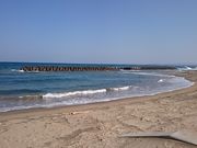 񂿂񂳂̌CO[C̓eʐ^1