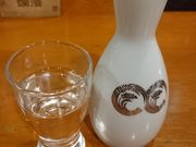 肫񂳂̖k쐅YȉwOX̓eʐ^2