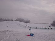 肫񂳂̓Ƃ҂̗̓eʐ^5